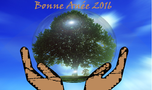 Bonne Année 2016